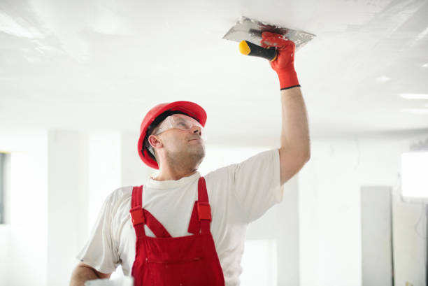 Best Wallpaper Removal and Painting  in Granite Bay, CA